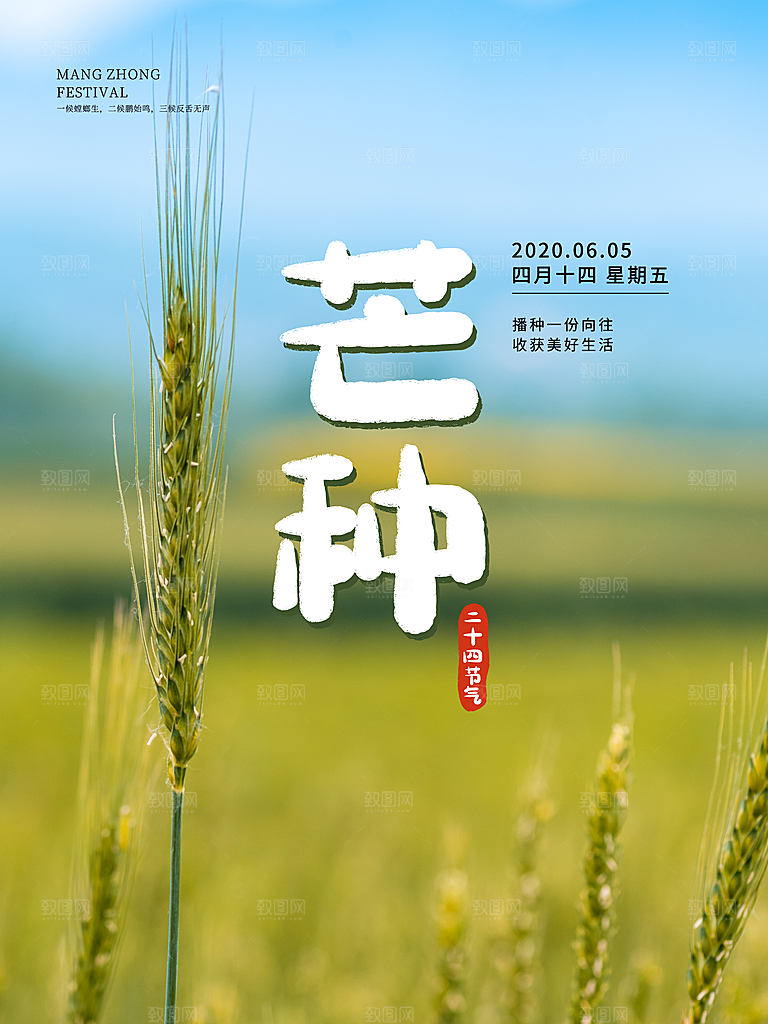 芒种节气简约大气海报
