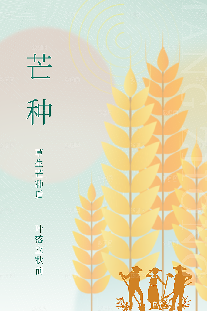 芒种节气简约大气海报