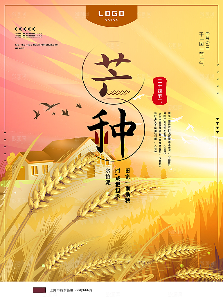 芒种节气简约大气海报