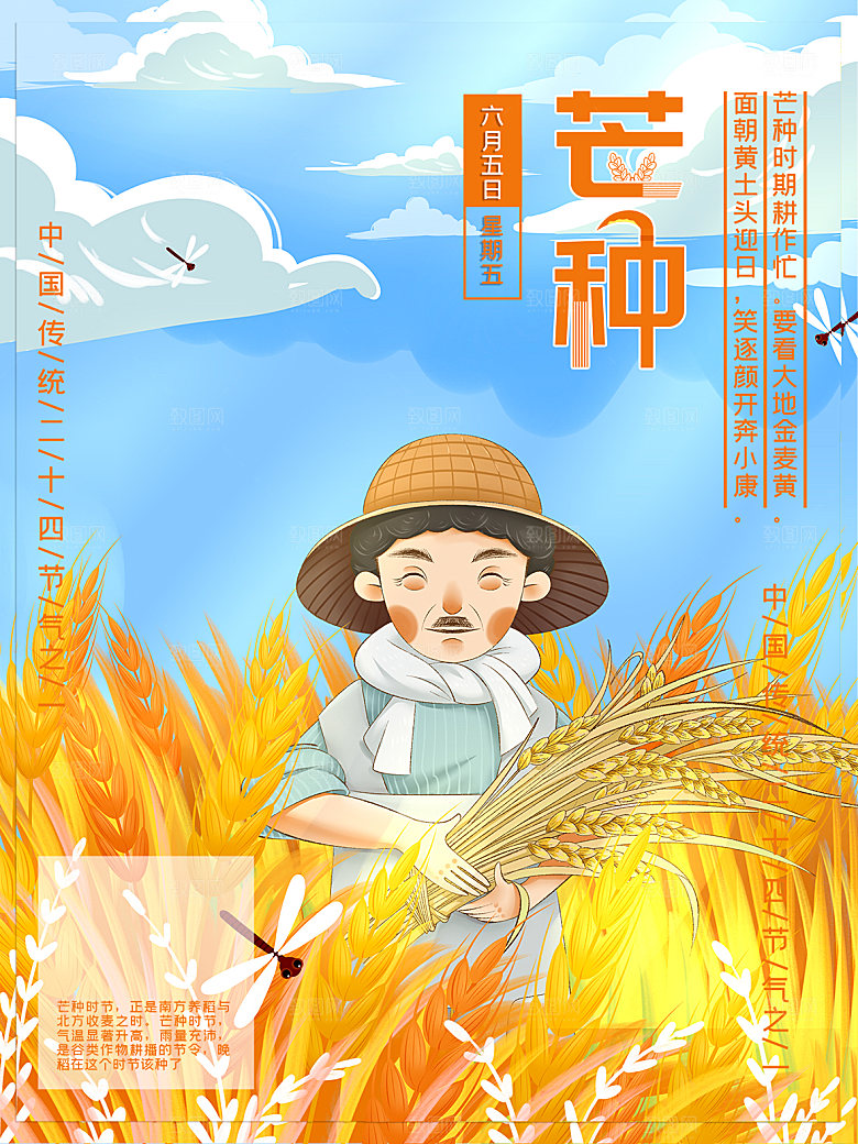 芒种节气简约大气海报