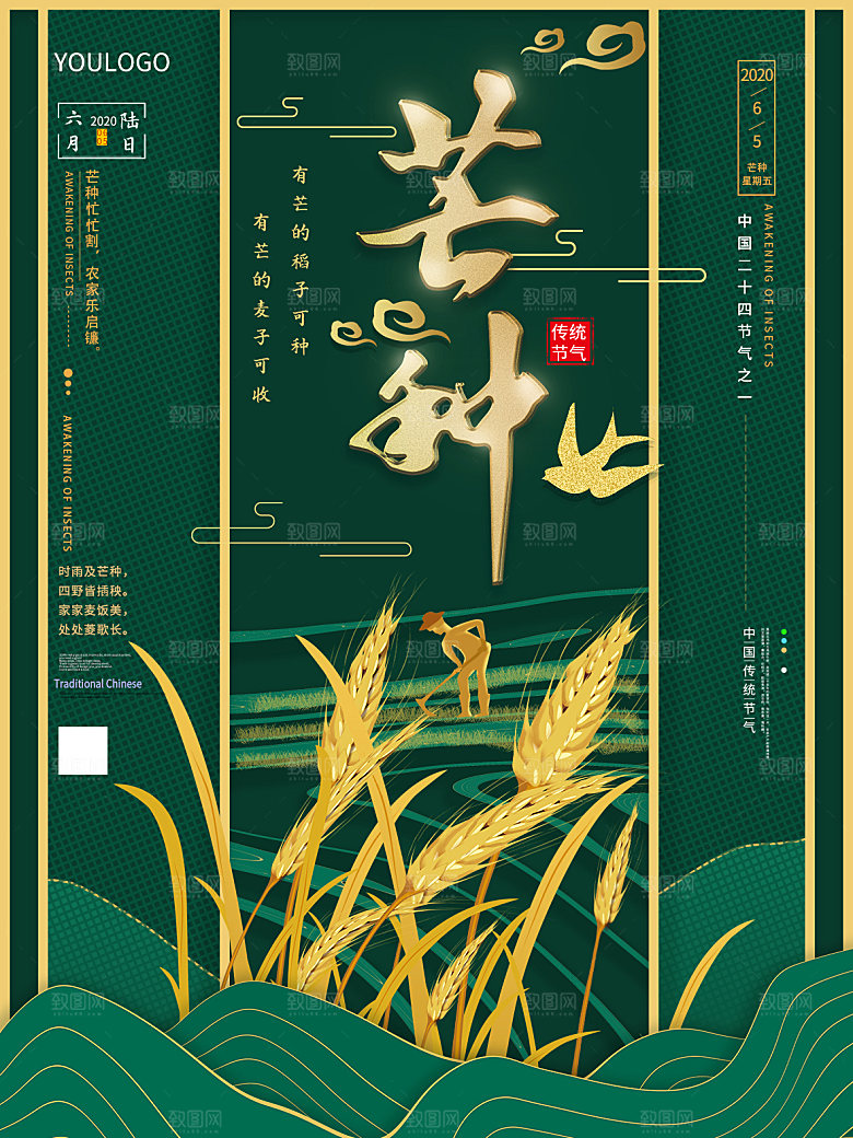 芒种节气简约大气海报