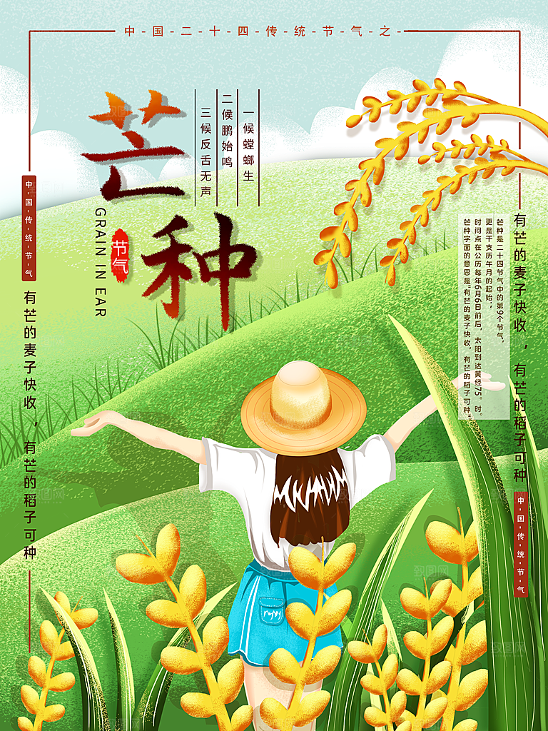 中国传统节气芒种海报模板