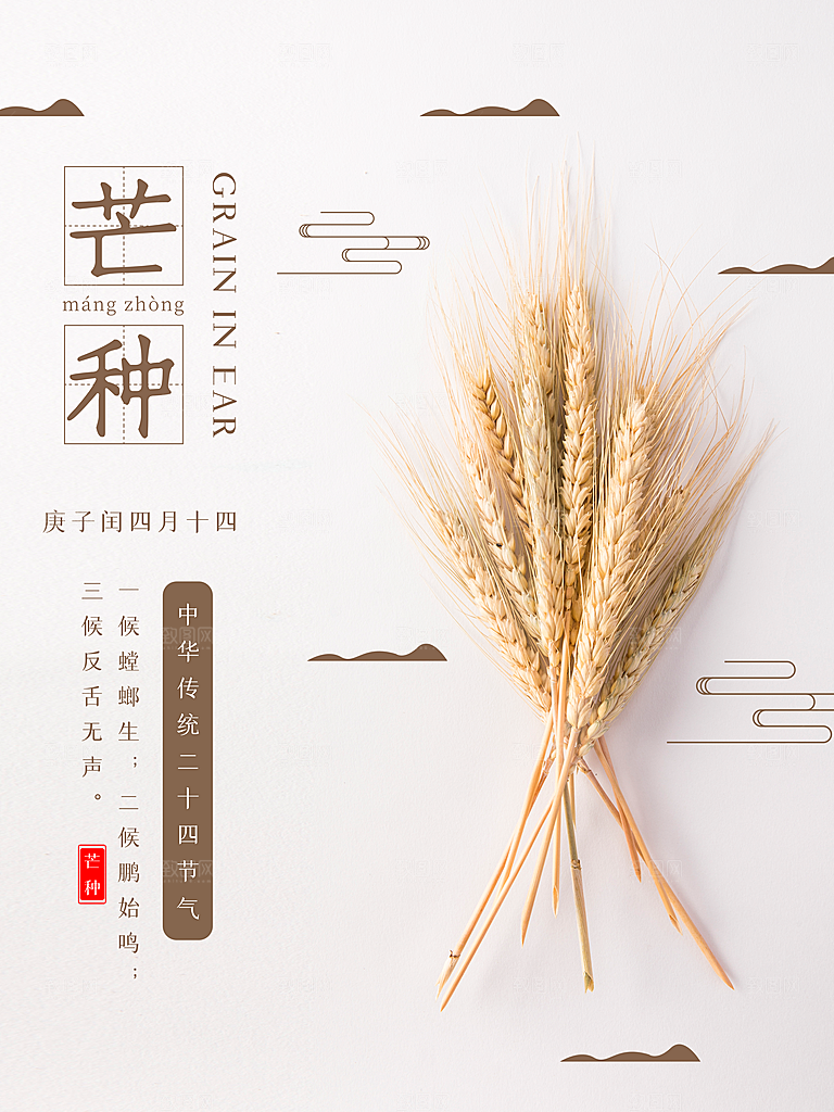 中国传统节气芒种海报模板