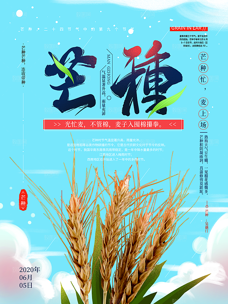 中国传统节气芒种海报模板