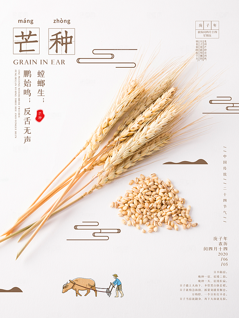 中国传统节气芒种海报模板