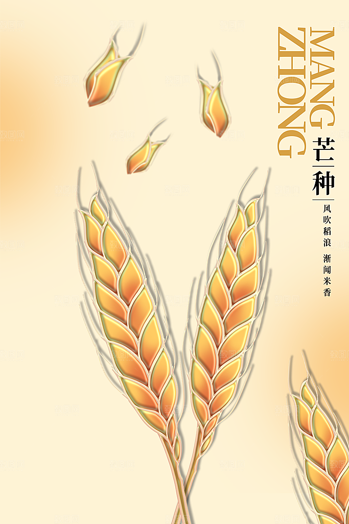 中国传统节气芒种海报模板
