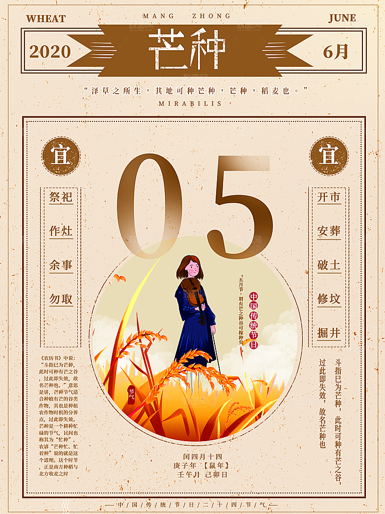 芒种节气简约大气海报