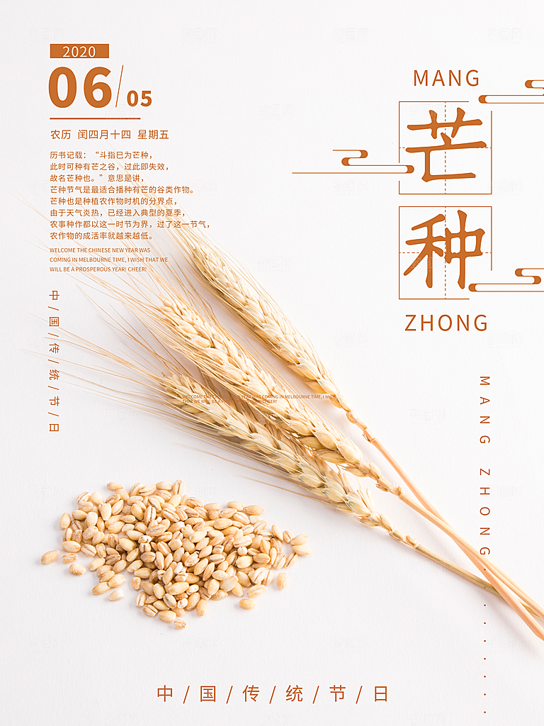 芒种节气简约大气海报