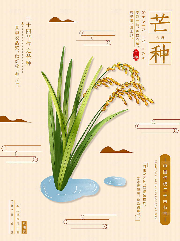 芒种节气简约大气海报