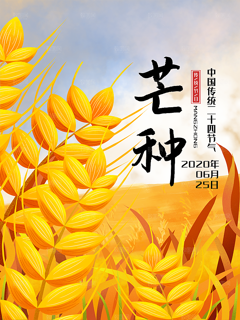 芒种节气简约大气海报