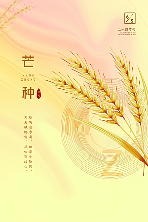 芒种节气简约大气海报
