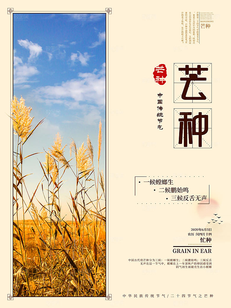 中国传统节气芒种海报模板