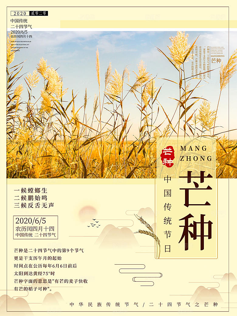 中国传统节气芒种海报模板
