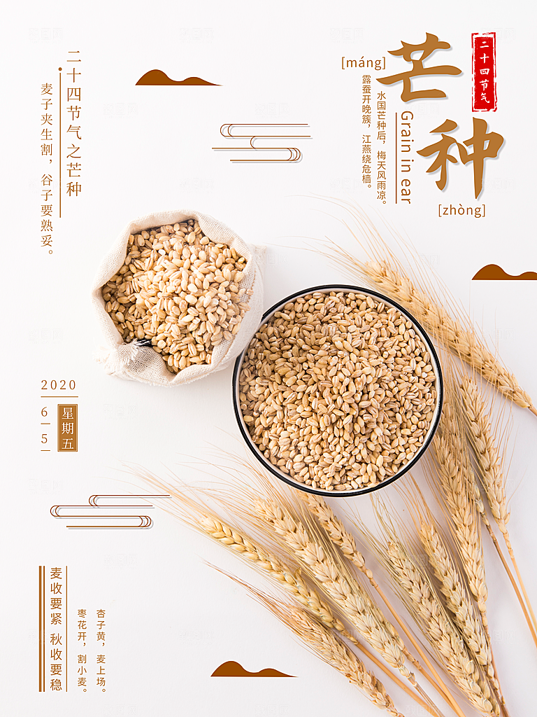 中国传统节气芒种海报模板