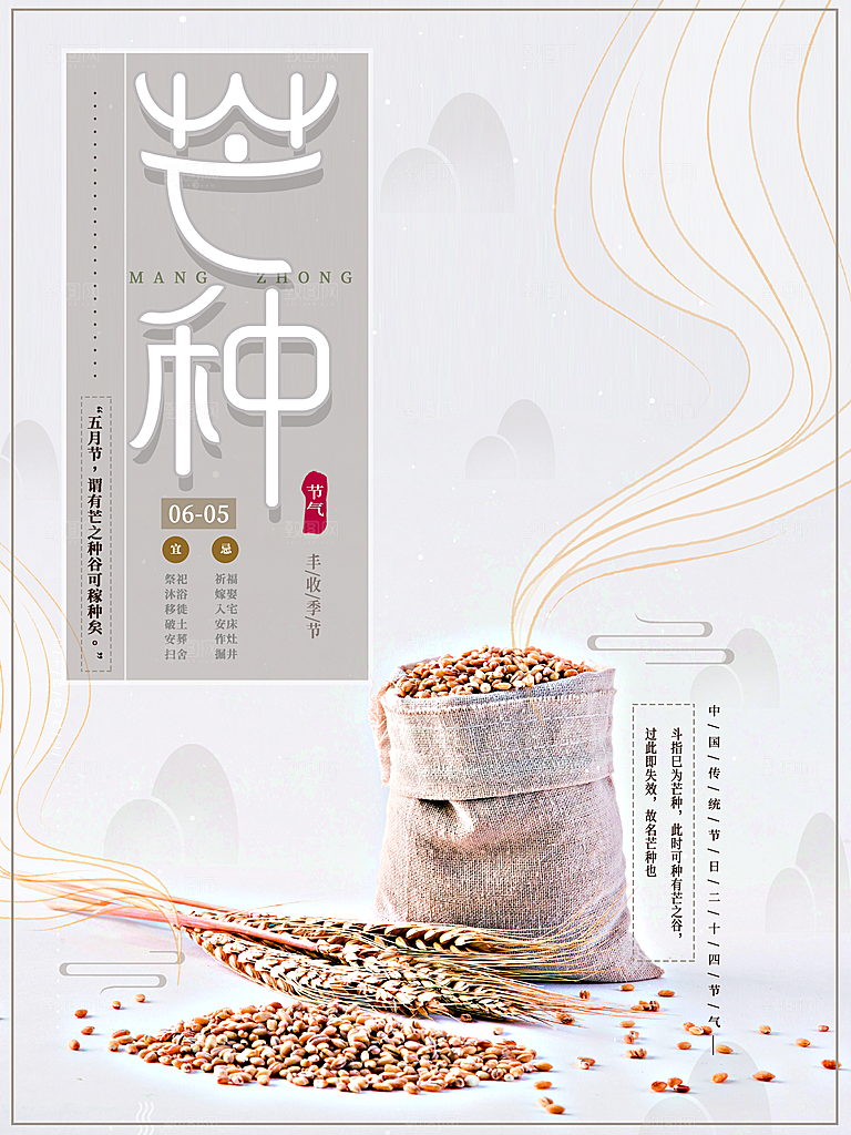 芒种节气简约大气海报