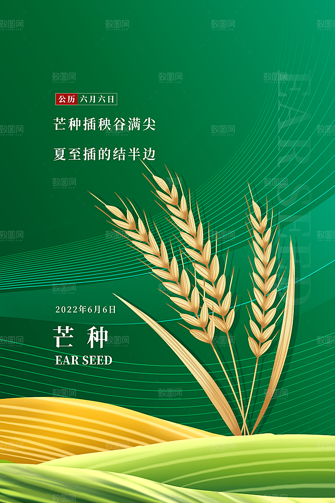 芒种节气简约大气海报