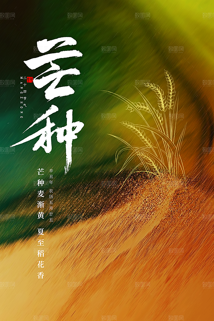 芒种节气简约大气海报