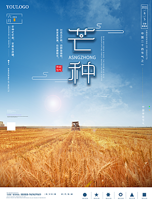 芒种节气简约大气海报