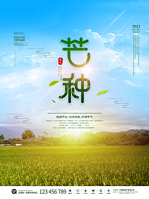 芒种节气简约大气海报