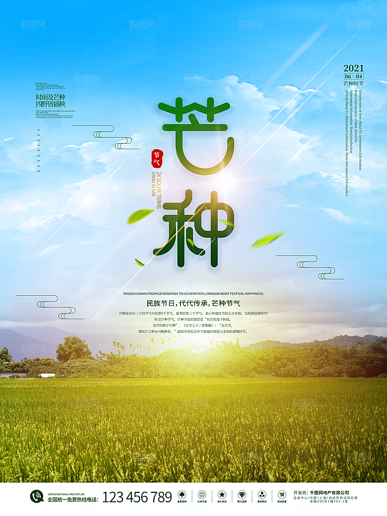 芒种节气简约大气海报