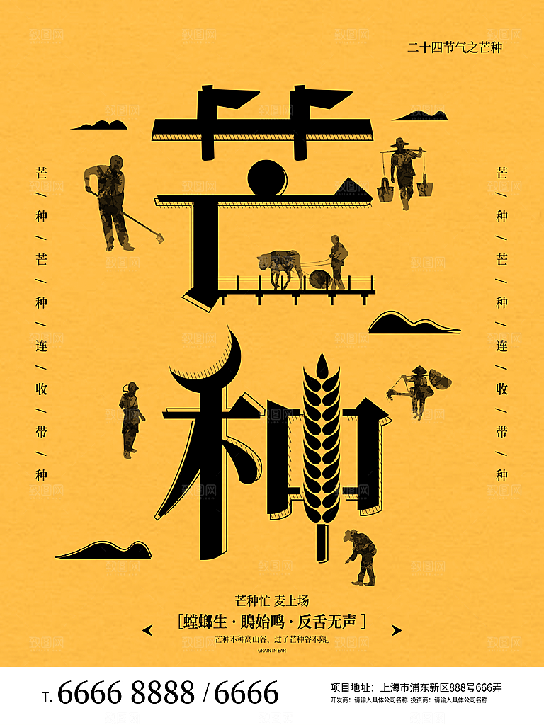 芒种节气简约大气海报