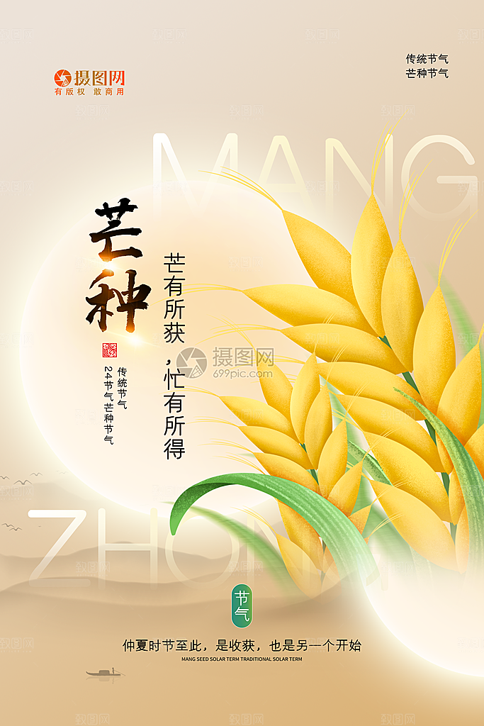 芒种节气简约大气海报