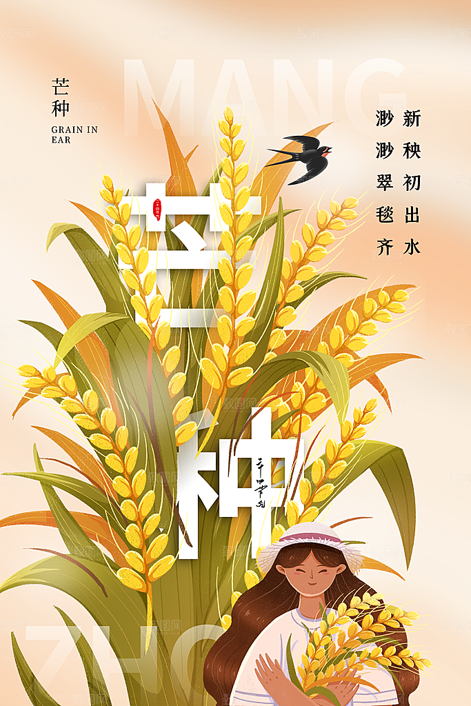 芒种节气简约大气海报