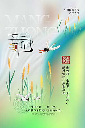 中国传统节气芒种海报模板