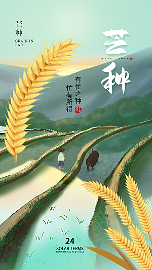 芒种节气简约大气海报