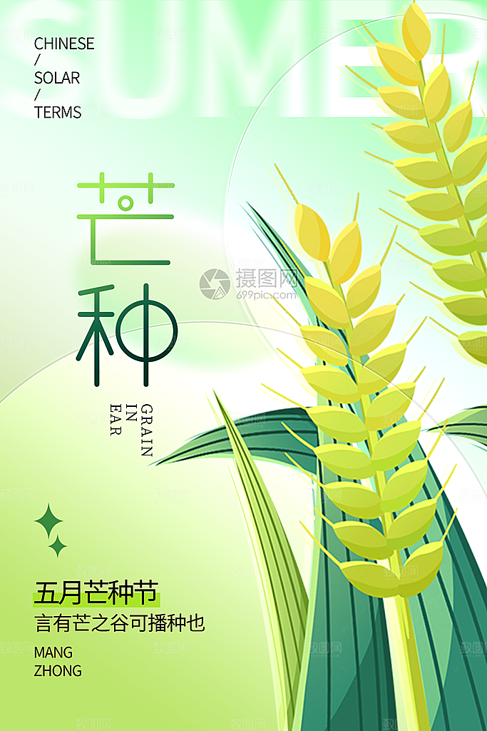 芒种节气简约大气海报