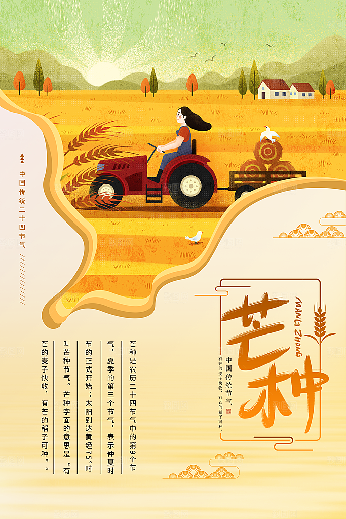 芒种节气简约大气海报