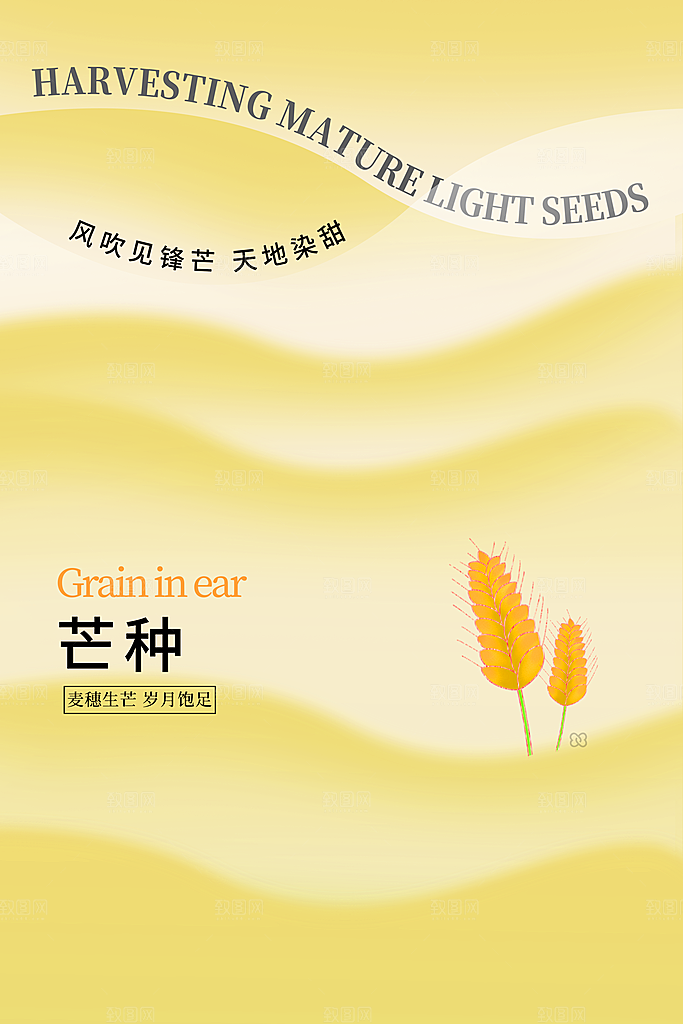 芒种节气简约大气海报
