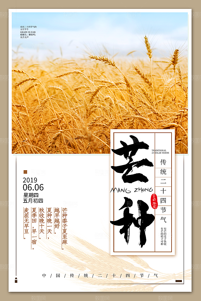 芒种节气简约大气海报
