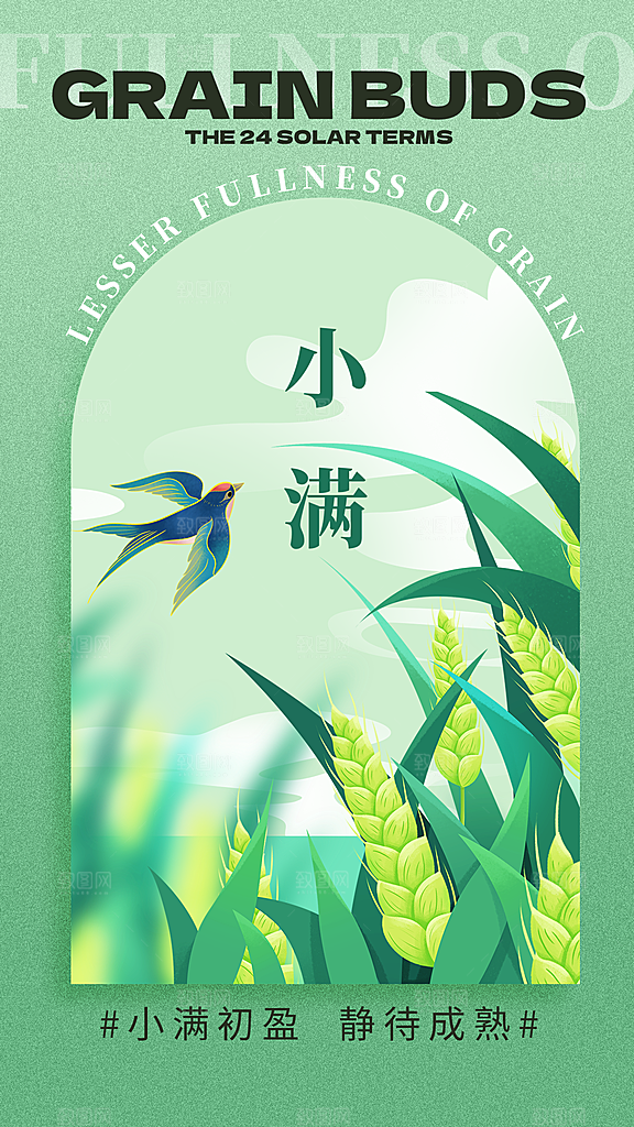 小满二十四节气海报