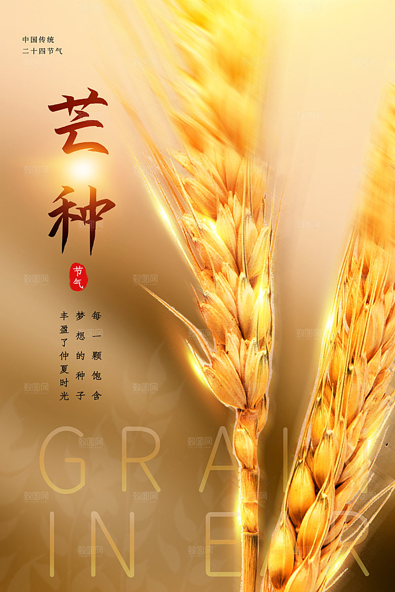 芒种节气简约大气海报