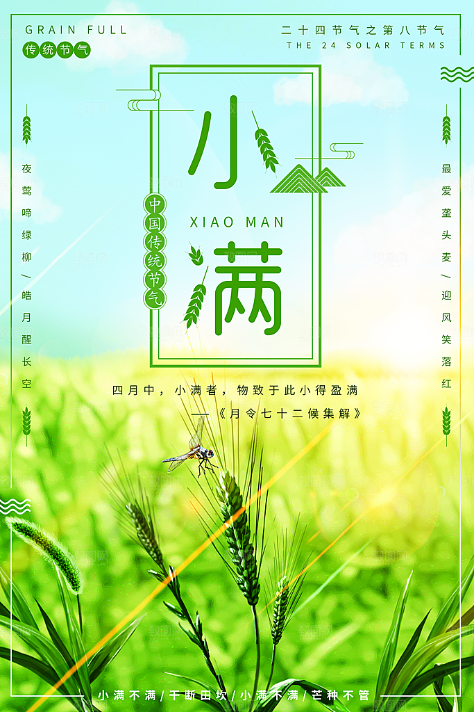 小满二十四节气海报