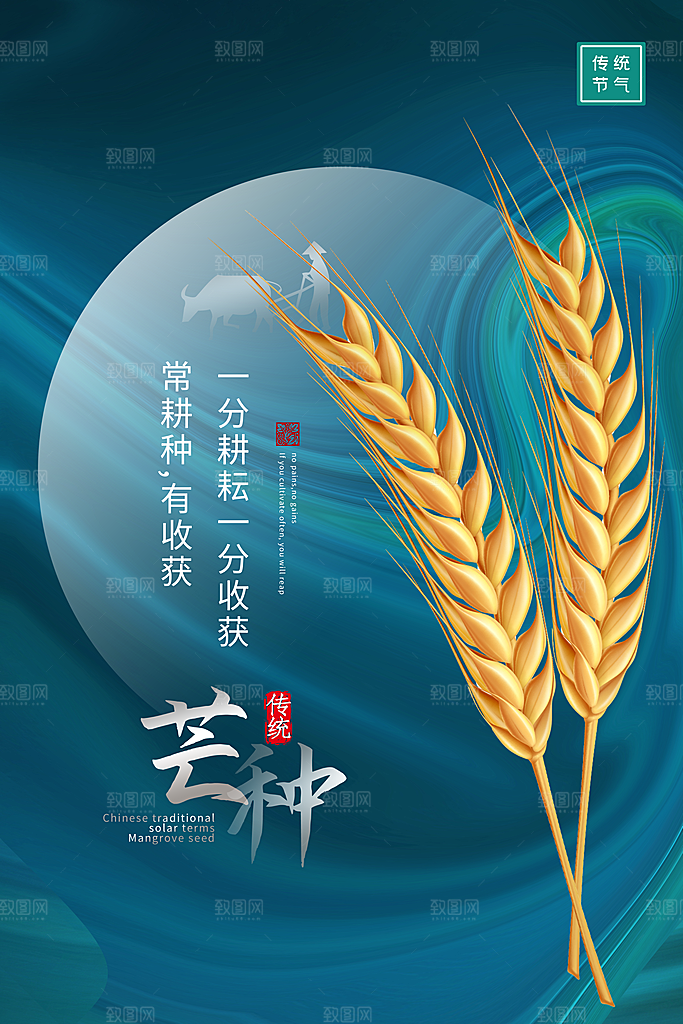 芒种节气简约大气海报