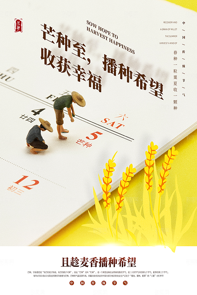 芒种节气简约大气海报