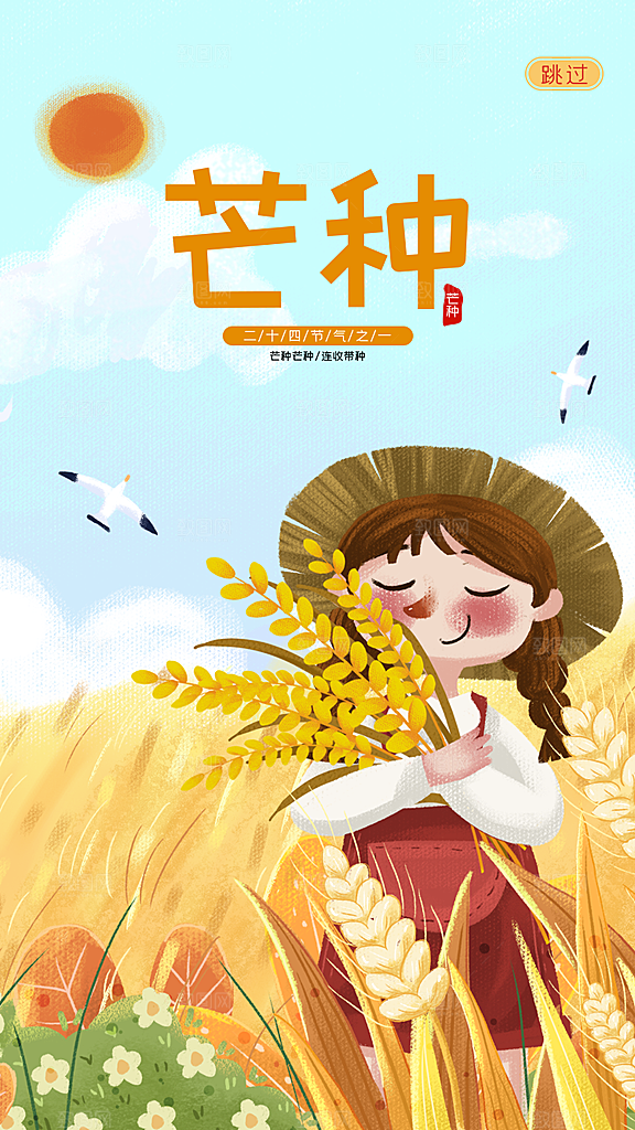 芒种节气简约大气海报