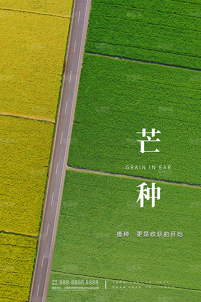 芒种节气简约大气海报