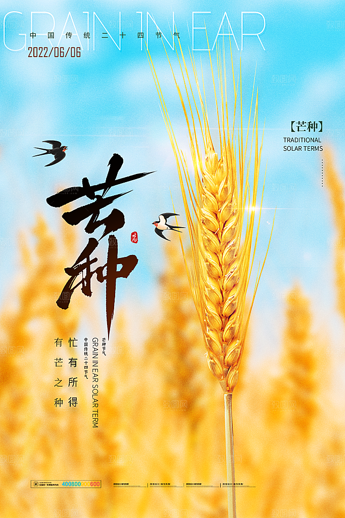 芒种节气简约大气海报
