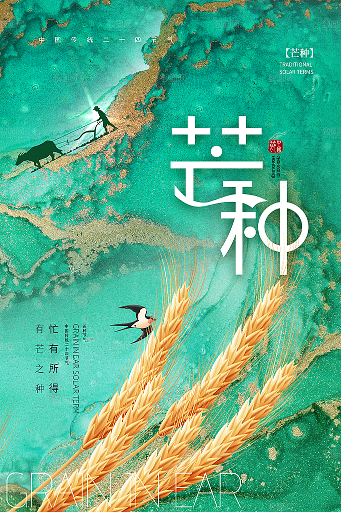 芒种节气简约大气海报