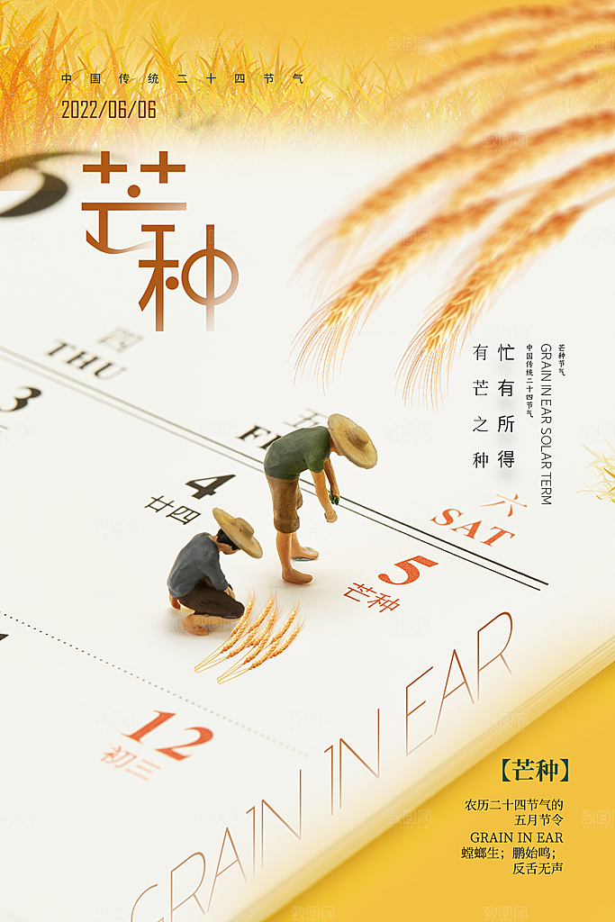 芒种节气简约大气海报