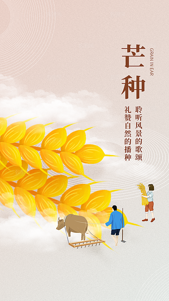芒种节气简约大气海报
