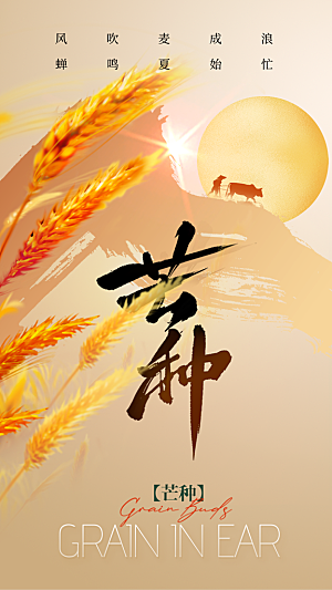 芒种节气简约大气海报