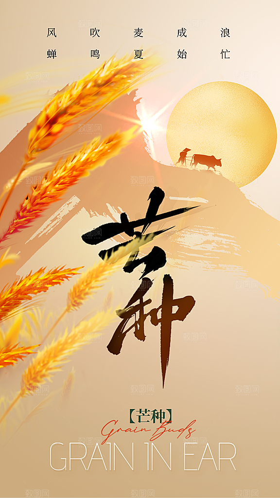 芒种节气简约大气海报