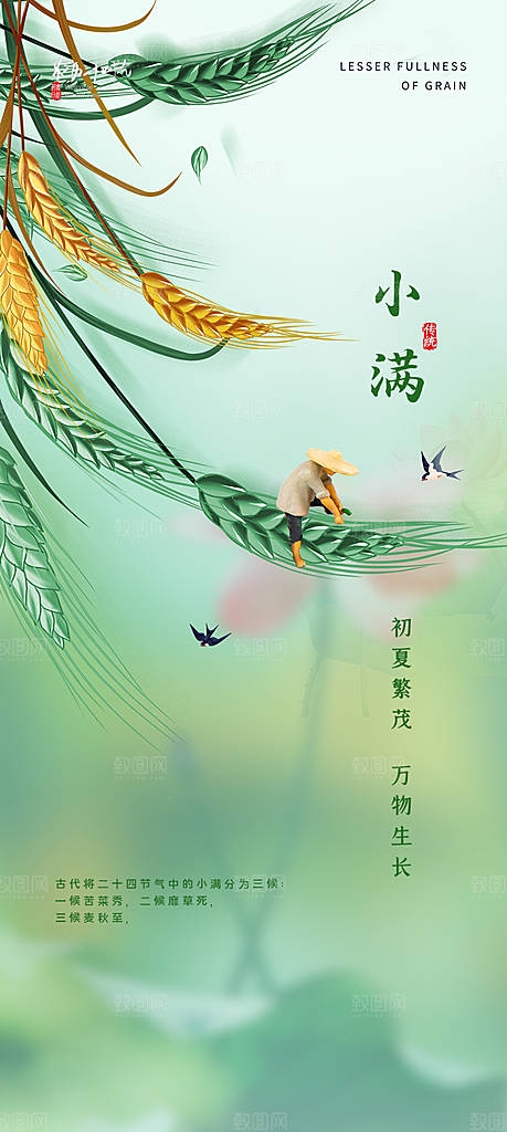 小满节气小满海报
