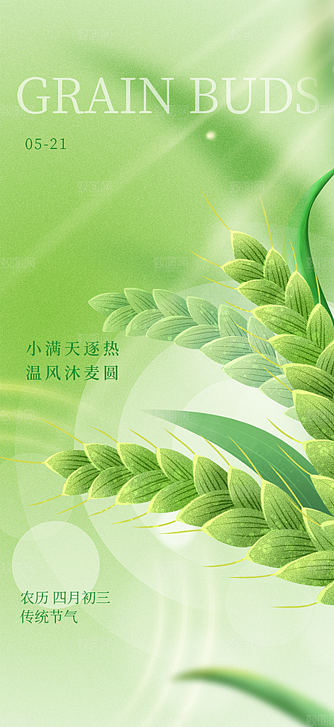 小满海报小满节气