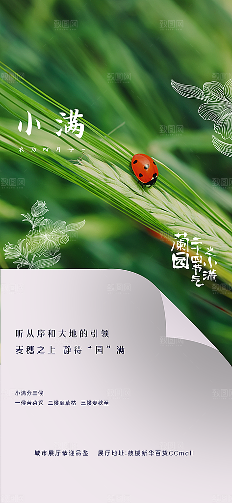小满海报小满节气