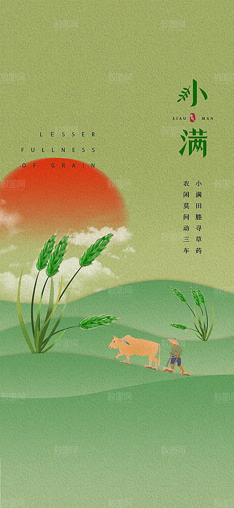 小满节气小满海报